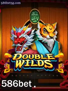 Explorando o Mundo de DoubleWilds: Um Guia Completo